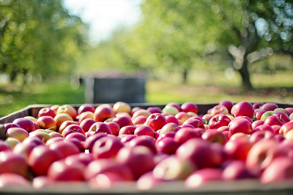 Braeburn Apple best for tart