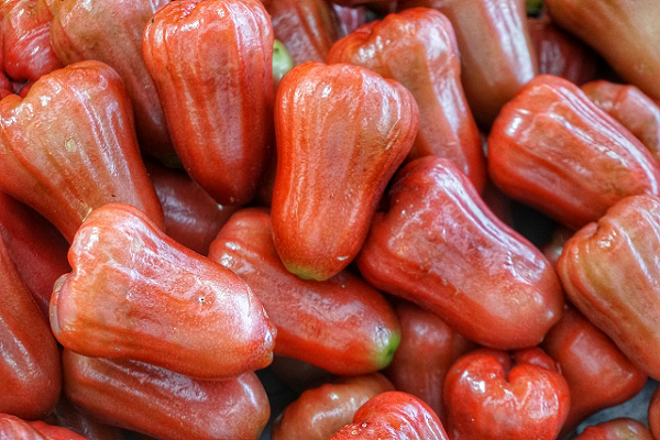 Rose Apple
