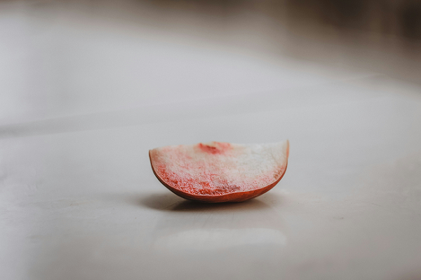 inside red apple fruit