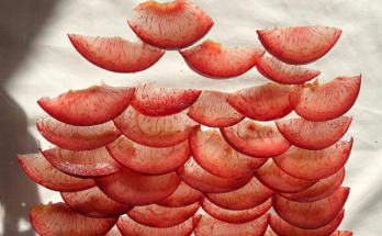red inside apple fruit