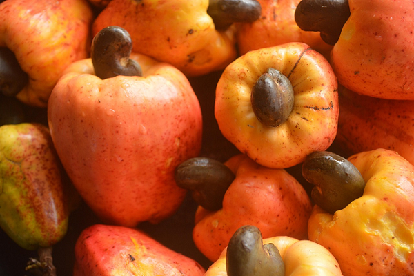 Cashew fruit juice from cashew apple