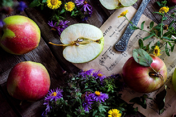 apple from seed to fruit